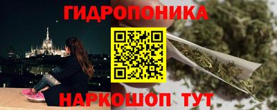 бошки Шелехов