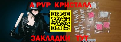 бошки Шелехов