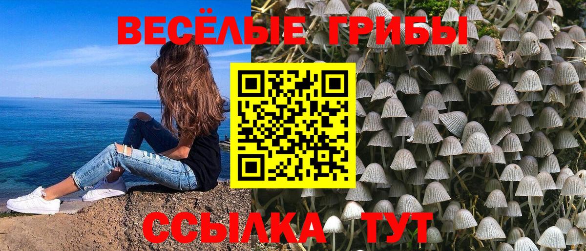 Галлюциногенные грибы Cubensis  Вход с VPN  Ахтубинск 