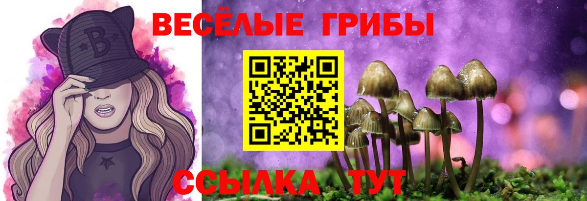 Псилоцибиновые грибы GOLDEN TEACHER Ахтубинск